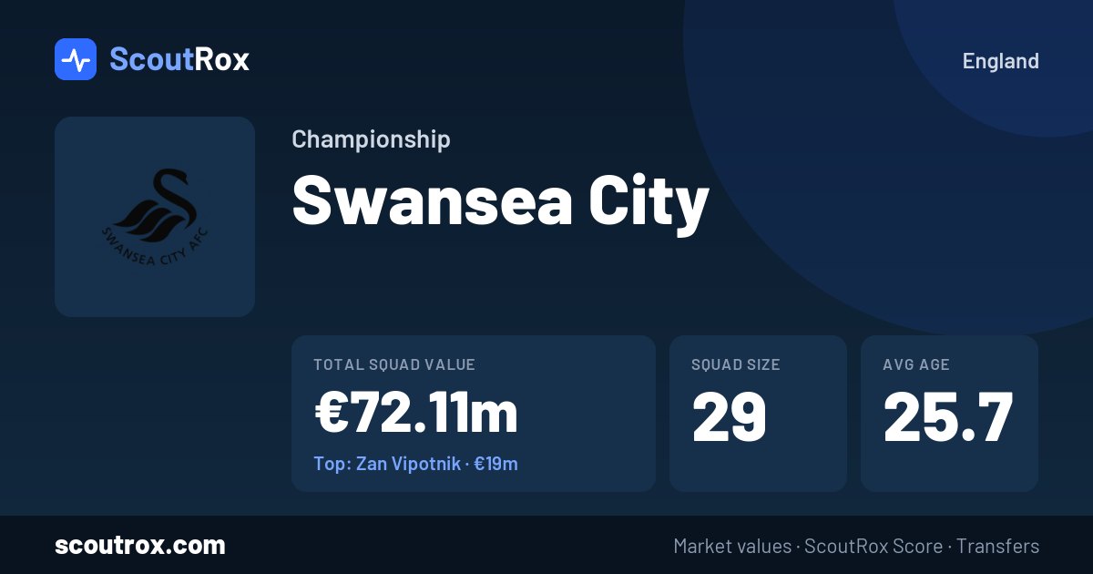 Swansea City squad & market values