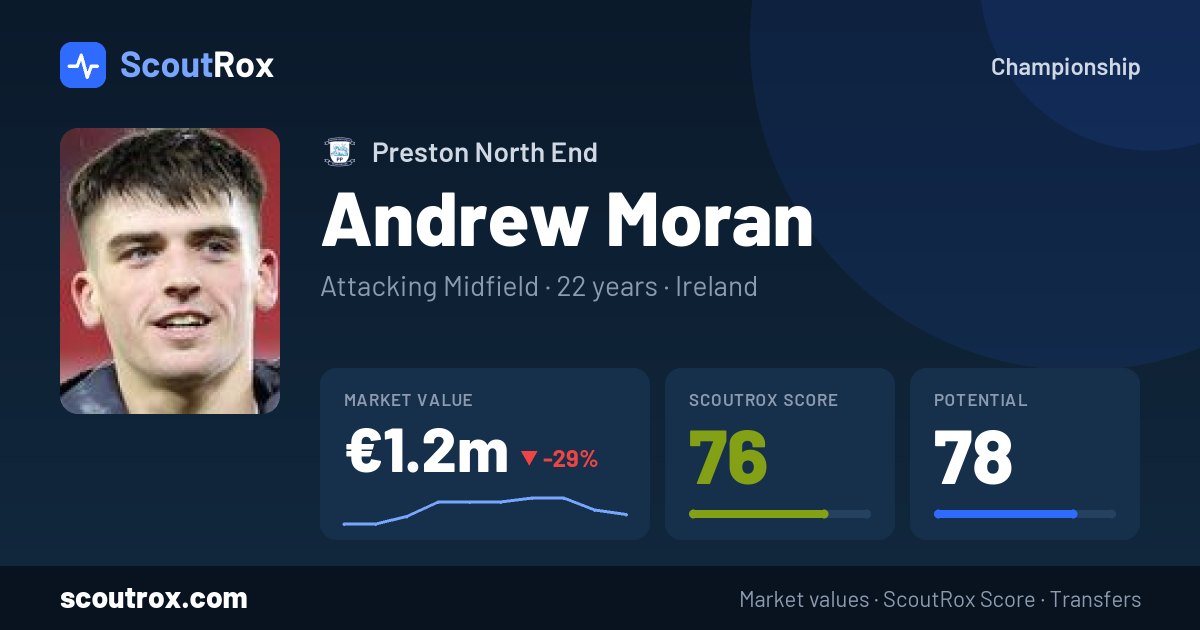 Andrew Moran stats & market value