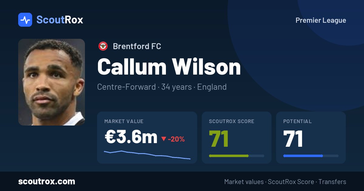 Callum Wilson stats & market value