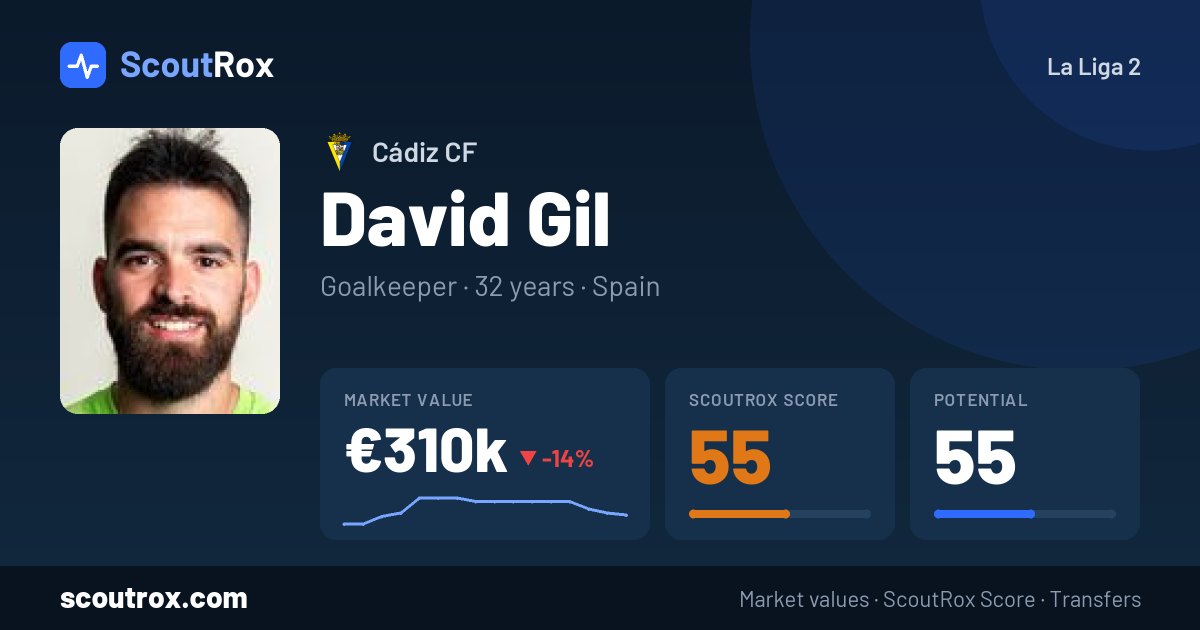 David Gil stats & market value