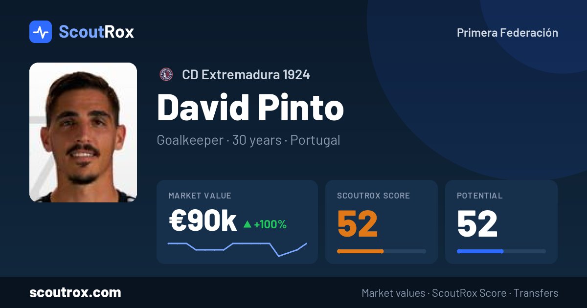 David Pinto stats & market value