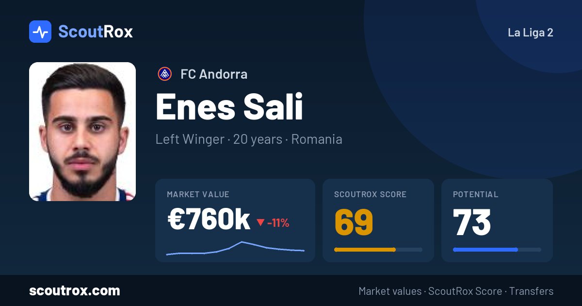 Enes Sali stats & market value