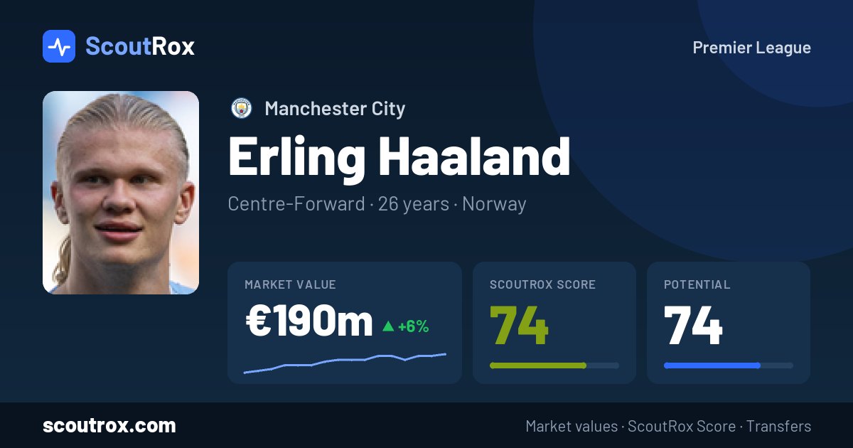 Erling Haaland stats & market value