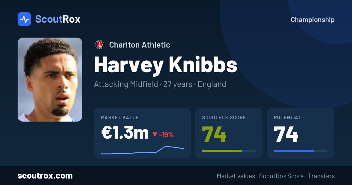 Harvey Knibbs stats & market value