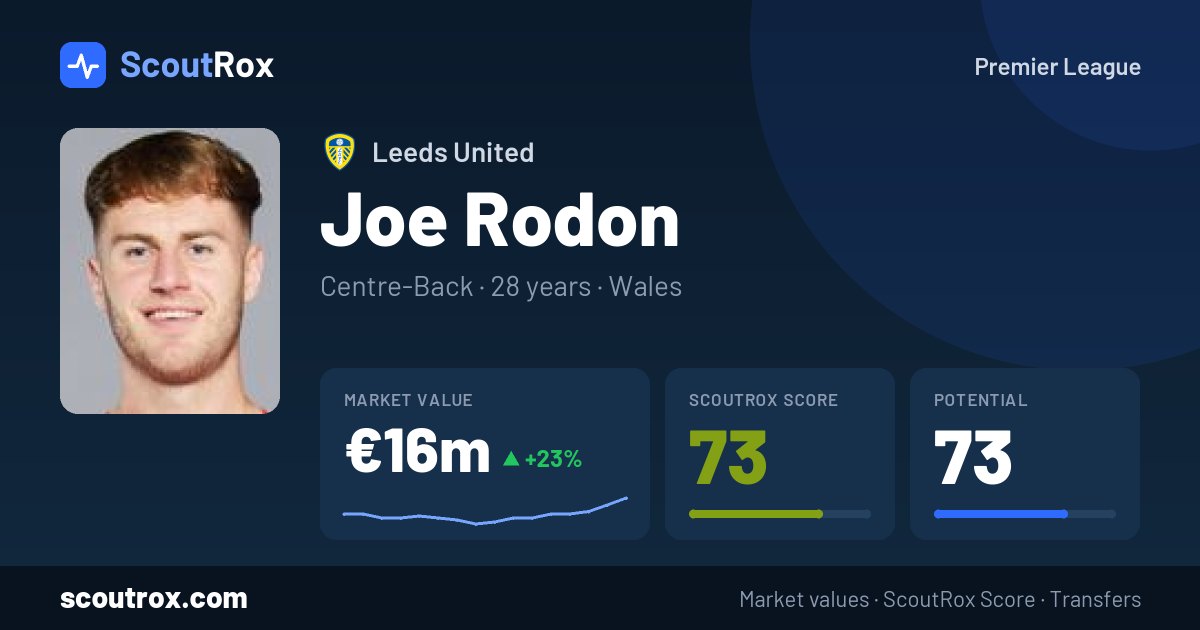 Joe Rodon stats & market value