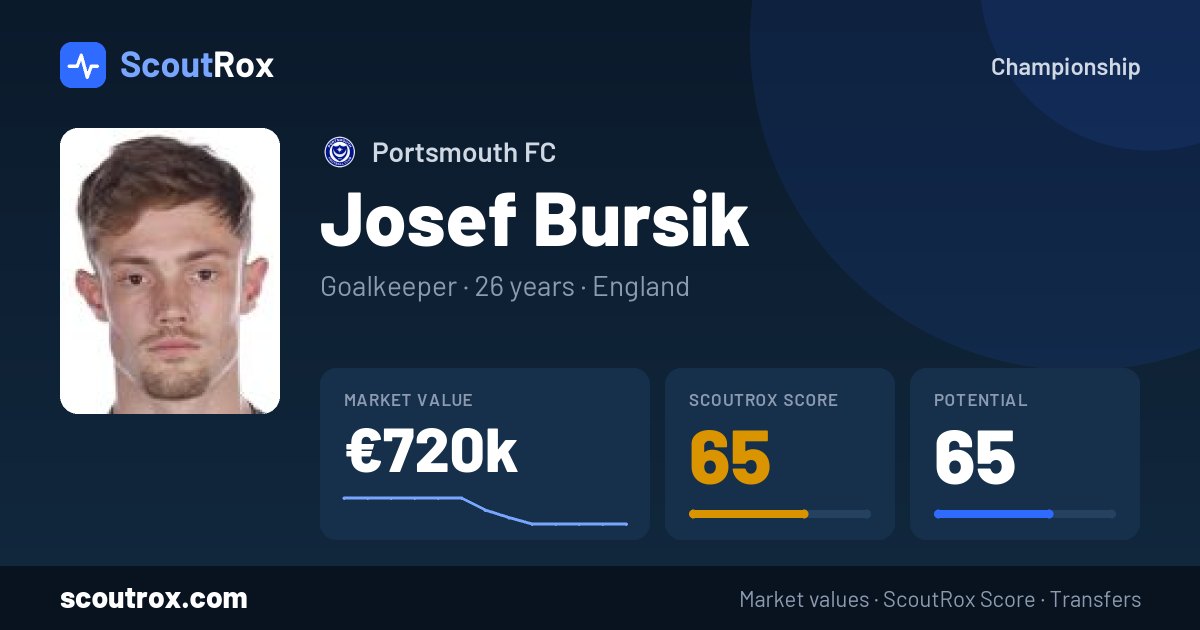 Josef Bursik stats & market value