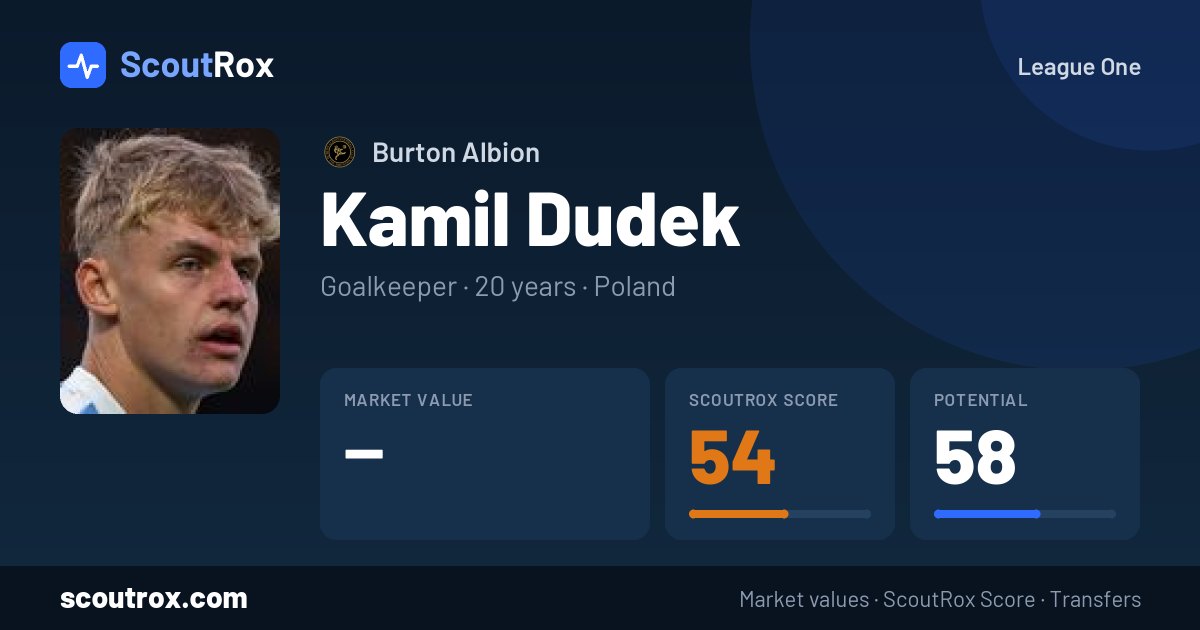 Kamil Dudek stats & market value