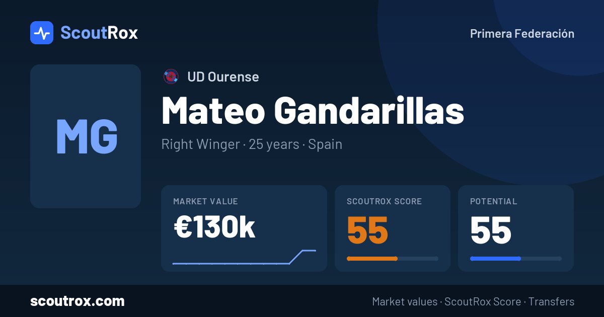Mateo Gandarillas stats & market value