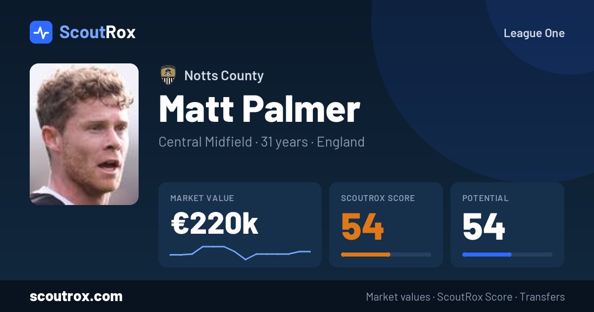 Matt Palmer stats & market value