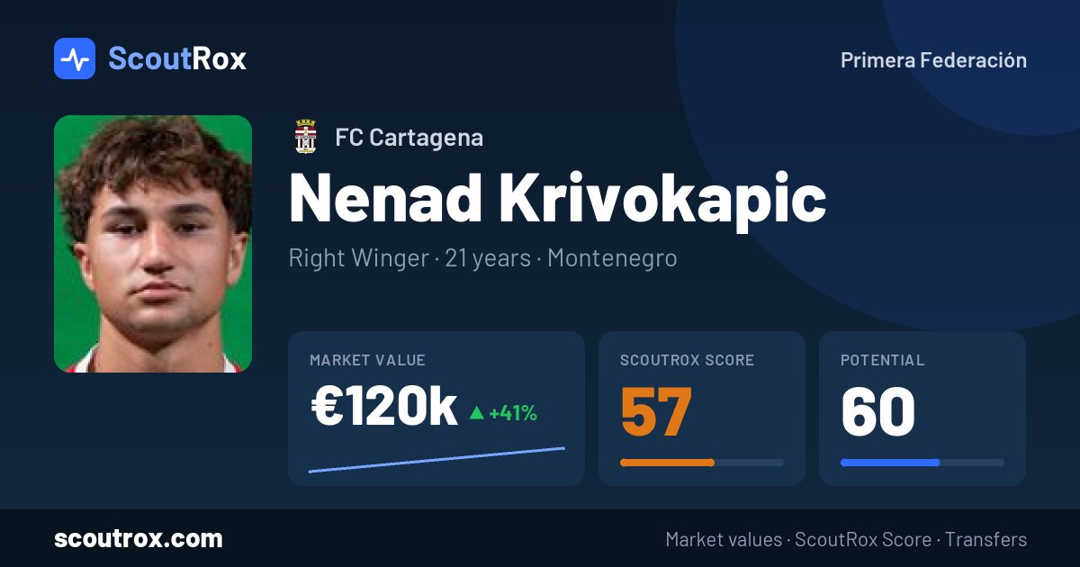 Nenad Krivokapic stats & market value