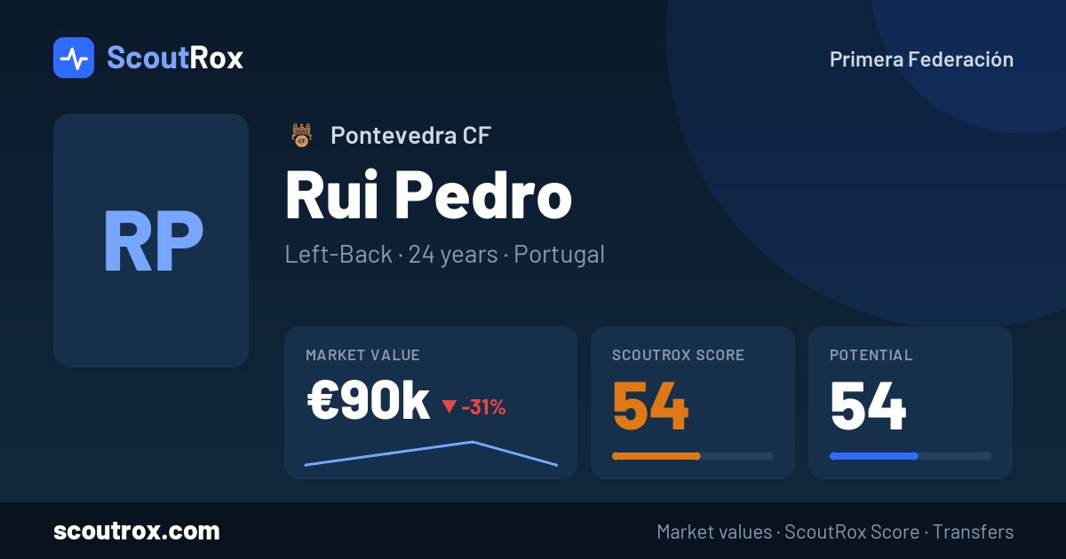 Rui Pedro stats & market value