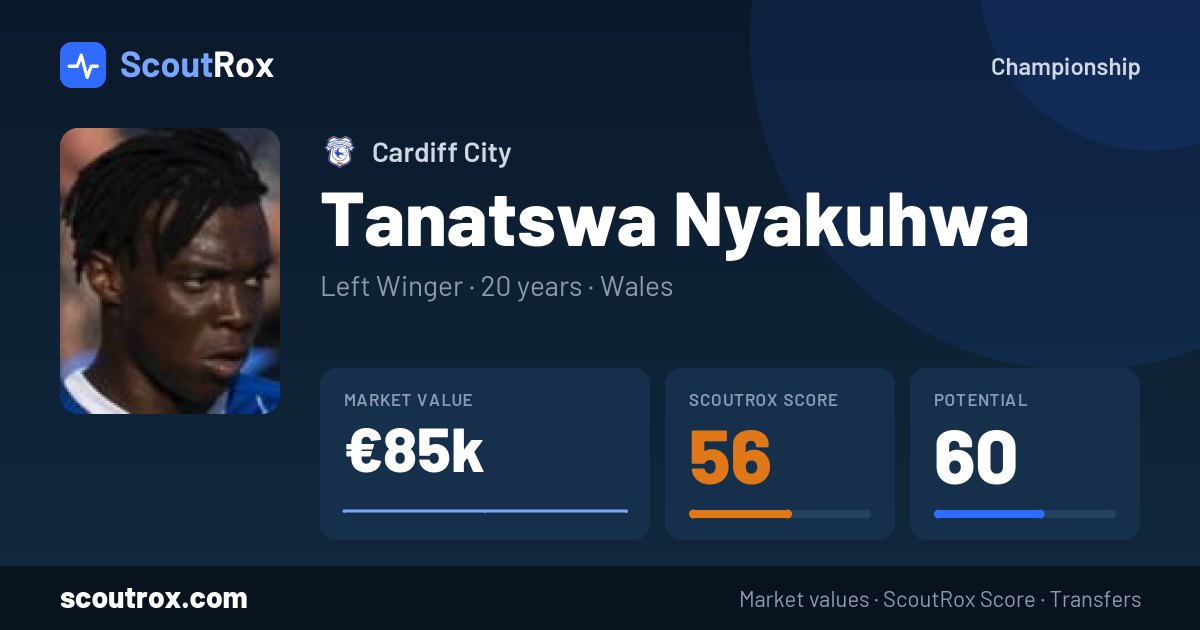 Tanatswa Nyakuhwa stats & market value