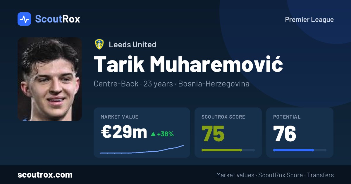 Tarik Muharemović stats & market value