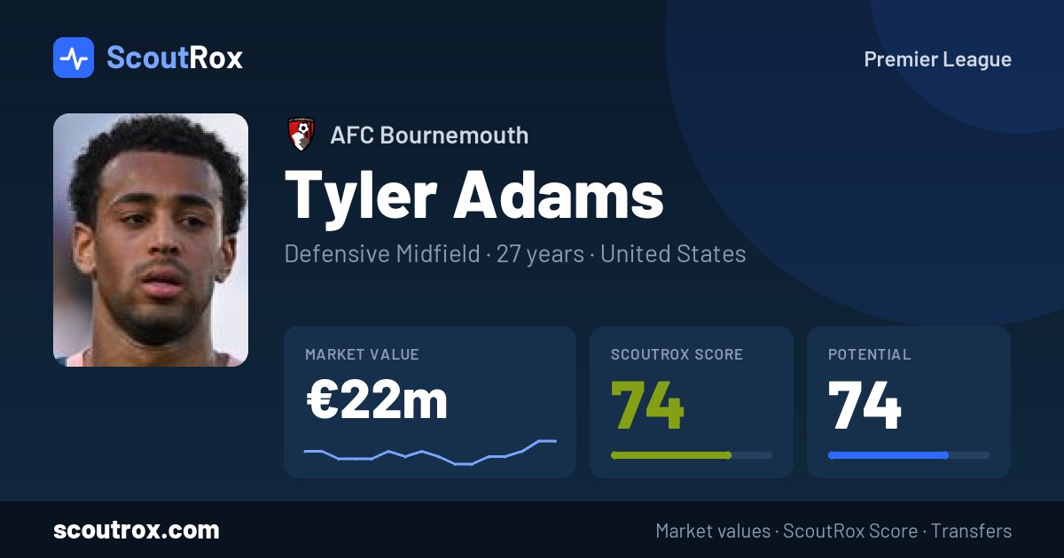 Tyler Adams stats & market value